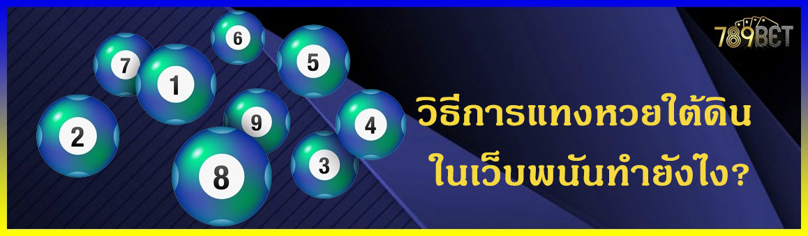 วิธีการแทงหวยใต้ดิน ในเว็บพนันทำยังไง?